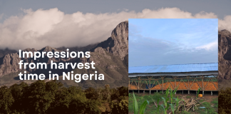 Farm GrowExpress Ltd. - Impressions from harvest time in Nigeria, by Dr. Thomas Schulte, Berlin